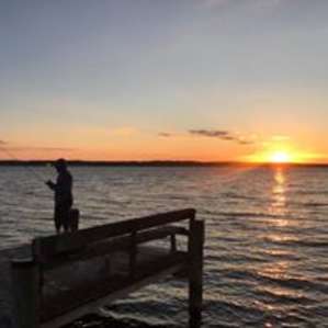 Kitts Marsh on Patuxent River
