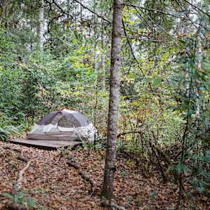 The tent platform.
