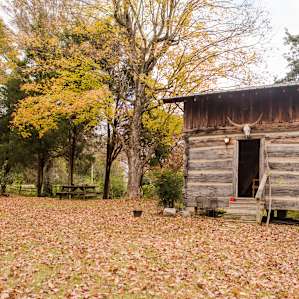 If you're here in the fall you'll be greeted by these beautiful colors.