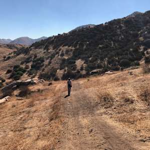The Unhitched Ranch