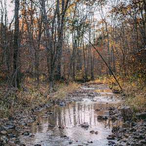 meandering along the creek