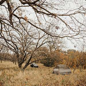 tent forest lodging