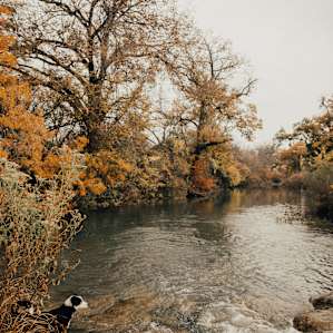 San Saba River