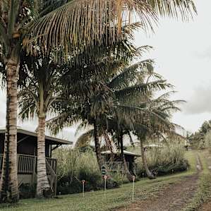 Cabana lined driveway leading up to the main house.