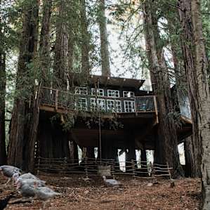 forest lodging treehouse