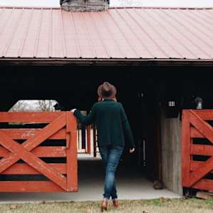 Exploring the barn