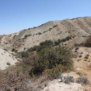 Rideout Hideout Carrizo Plain