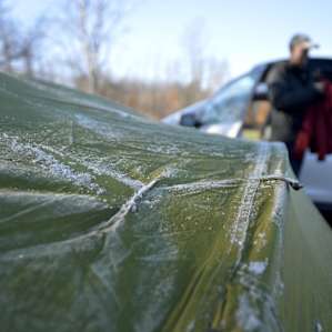 Morning Frost.