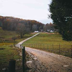 the road in was super pretty!