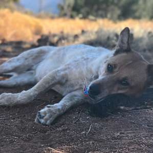 Zion Wright Family Ranch-ecocamping