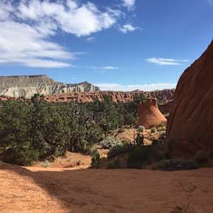 From the "Secret Passage" off the Panorama Trail.