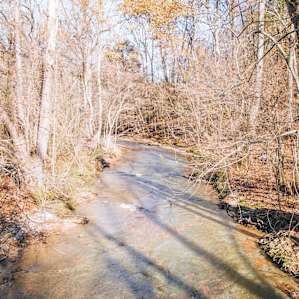 A awesome little creak we drove past next to the property.
