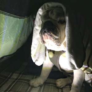 Telling ghost stories at night.