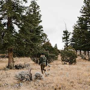 forest hiking activity