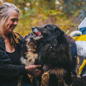 the three very friendly dogs!