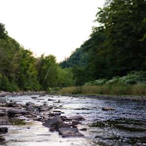 From the bottom of the Grand Canyon of PA. 11 - Photo Breznier style panorama.