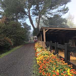 Enchanted Pond Campsite