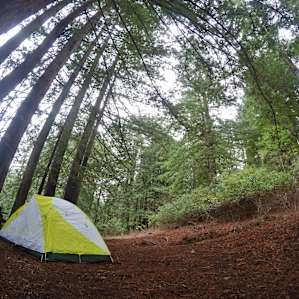 Enchanted Pond Campsite