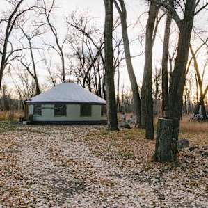 Grove Yurt