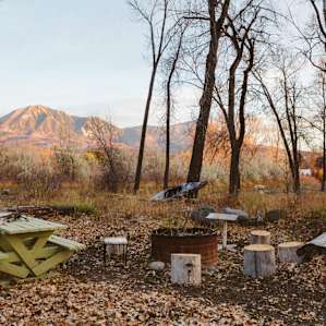 Grove Yurt