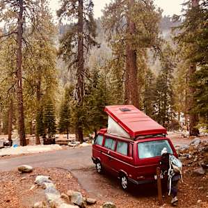 forest van lodging