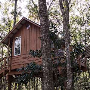 Awaken your inner child with this high-up-in-trees home!