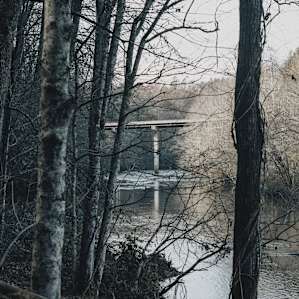 At the lowest point of Matt's property is the Tuskegee River that you can tube and swim in during the summer!