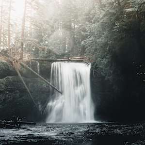 forest water