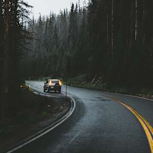 forest
