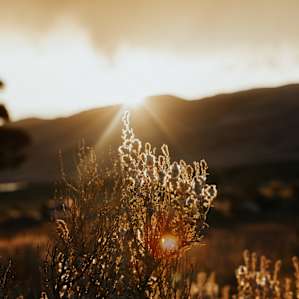sun