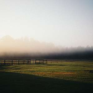 morning haze