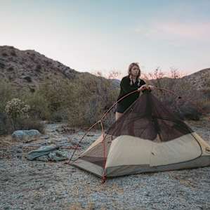 tent people dog