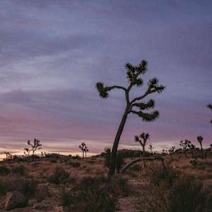 the campsite is only 10 minutes away from the park! I was easily able to roll out of bed and make it there for sunrise.