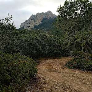 Camp WagMore (site #1)