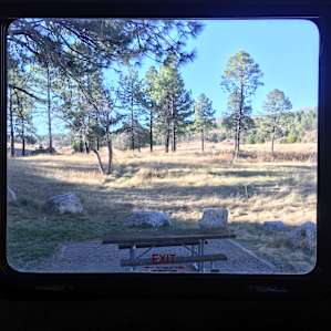 Out our back window
