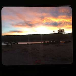 Out our back window