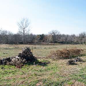 The view from the front of the barn