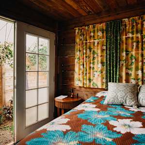 Cozy, tiny cabin
