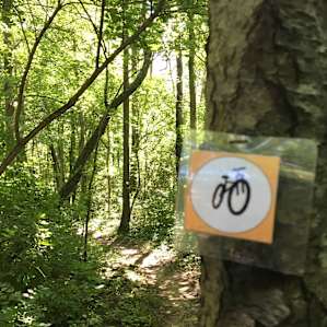 Nicely maintained mountain bike trails - fast tracks and an easy skill level