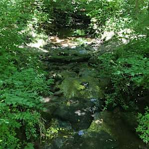 Nice hiking at the Nature Preserve