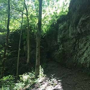 Rock climbing at theNature Preserve