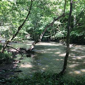 Hiking trails follow the river