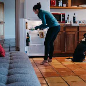 cabin people dog