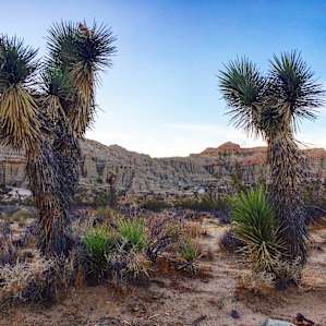 Ricardo Campground
