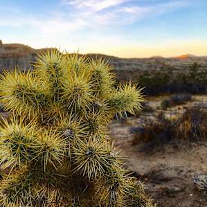Ricardo Campground