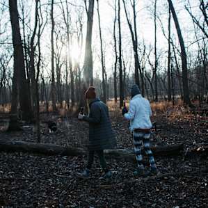 forest hiking activity