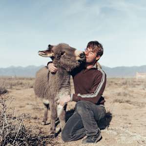 Snowflake the miniature donkey loves giving hugs and kisses.