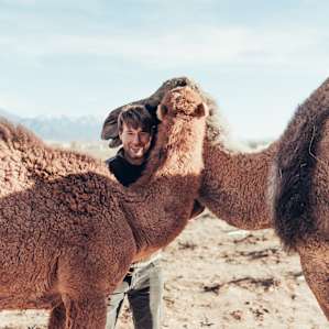 Camel hugs are abundant.