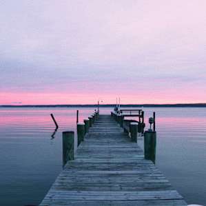 Kitts Marsh on Patuxent River