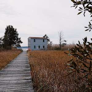 Kitts Marsh on Patuxent River